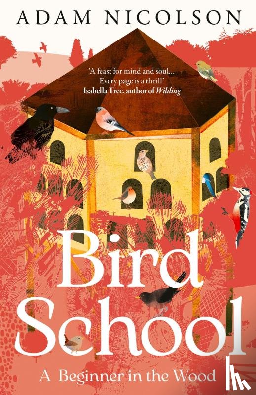 Nicolson, Adam - Bird School
