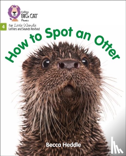 Heddle, Becca - How to Spot an Otter