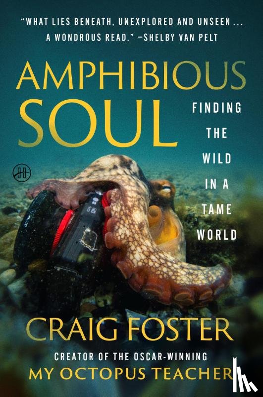 Foster, Craig - Amphibious Soul