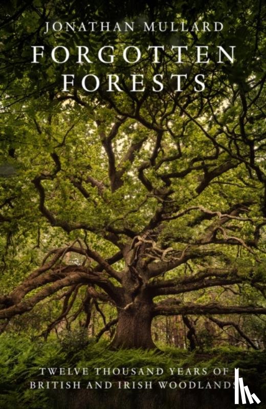 Mullard, Jonathan - Forgotten Forests
