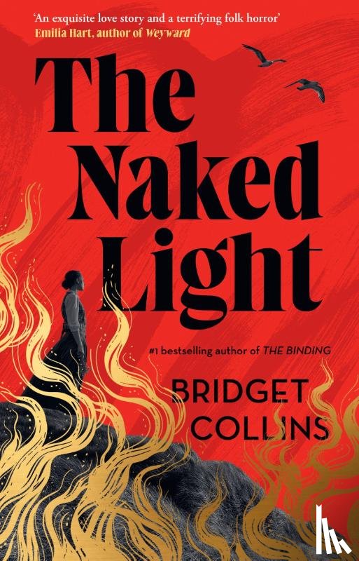 Collins, Bridget - The Naked Light