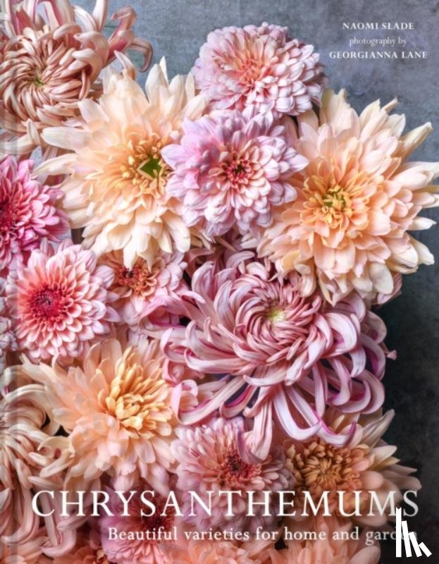 Slade, Naomi, Lane, Georgianna - Chrysanthemums