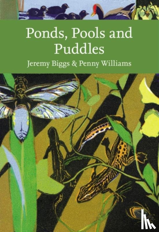 Biggs, Jeremy, Williams, Penny - Ponds, Pools and Puddles
