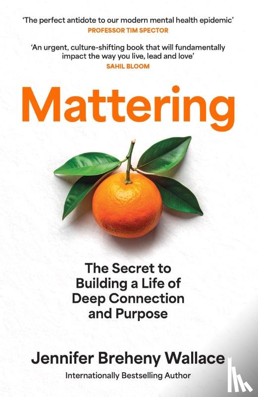 Wallace, Jennifer Breheny - Mattering