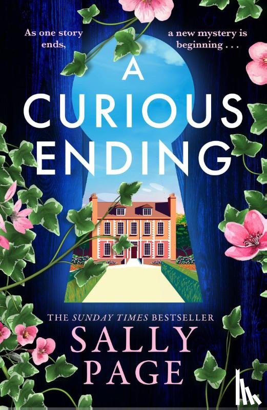 Page, Sally - A Curious Ending