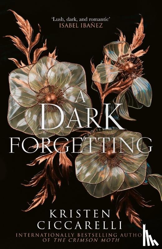 Ciccarelli, Kristen - A Dark Forgetting