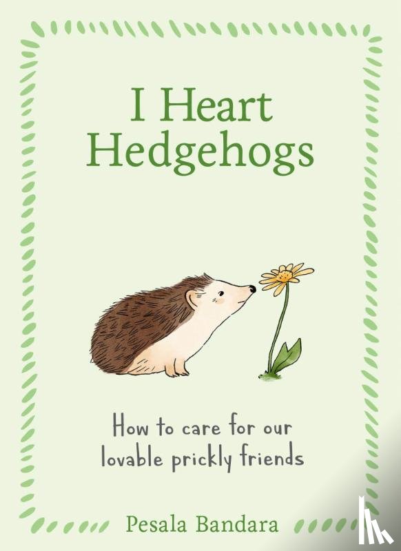 Bandara, Pesala - I Heart Hedgehogs