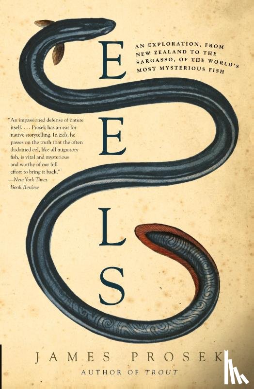 Prosek, James - Eels