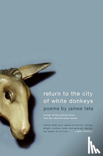 Tate, James - Return To The City Of White Donkeys