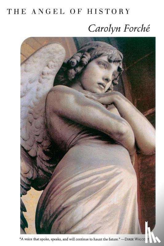 Forche, Carolyn - The Angel of History
