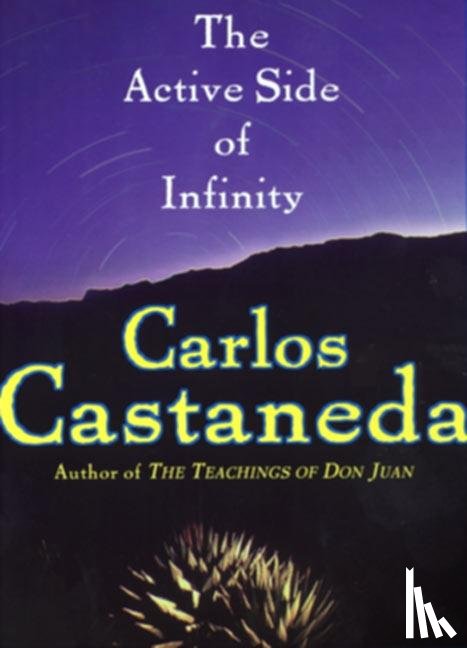 Castaneda, Carlos - The Active Side of Infinity
