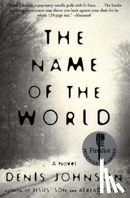 Johnson, Denis - The Name of the World