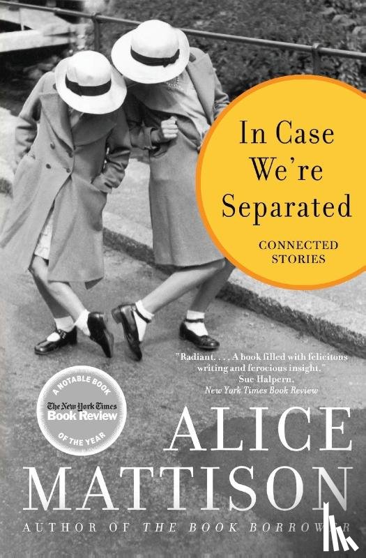 Mattison, Alice - In Case We're Separated