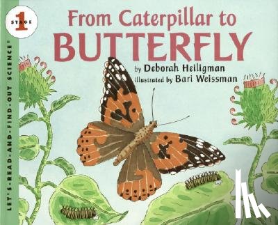 Heiligman, Deborah - From Caterpillar to Butterfly Big Book