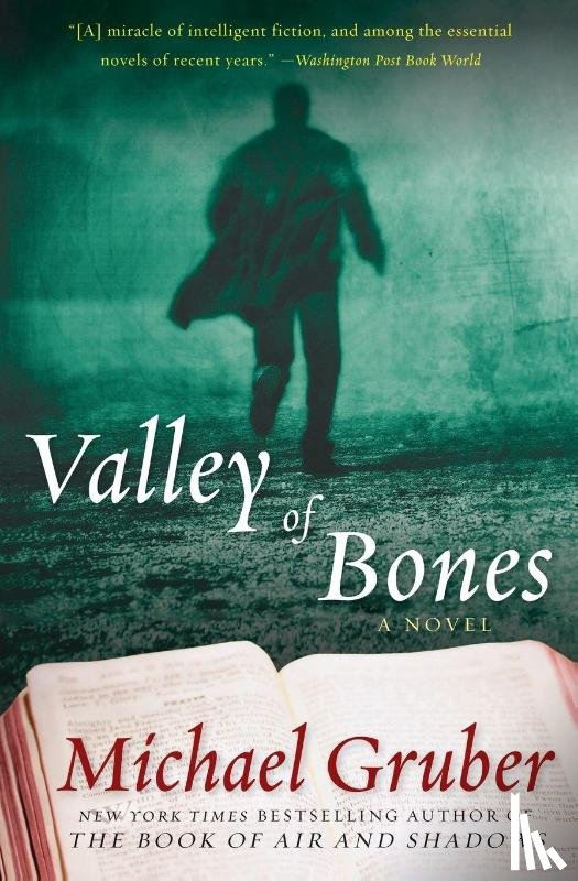 Gruber, Michael - Valley of Bones
