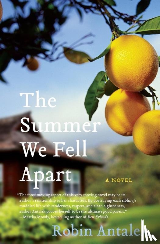 Antalek, Robin - The Summer We Fell Apart