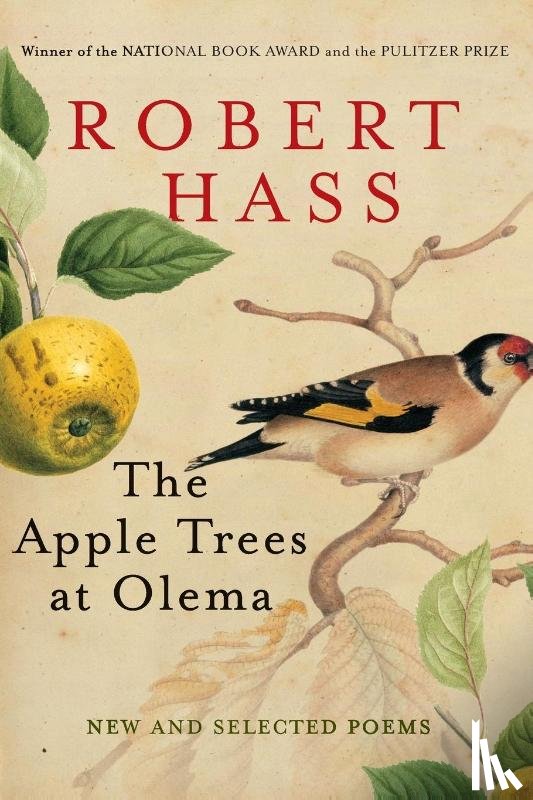 Hass, Robert - The Apple Trees at Olema