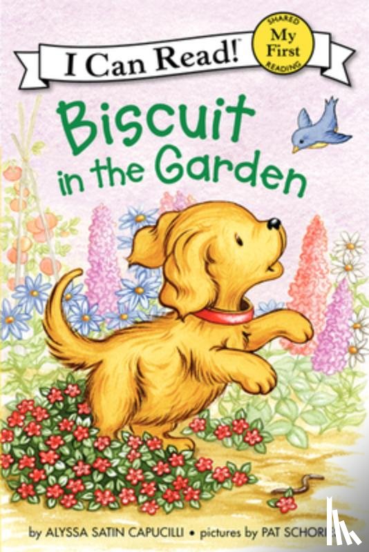 Capucilli, Alyssa Satin - Biscuit in the Garden