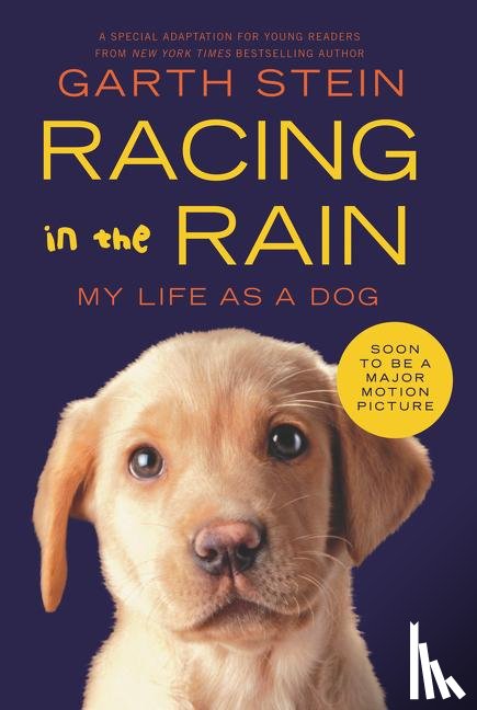 Stein, Garth - Racing in the Rain