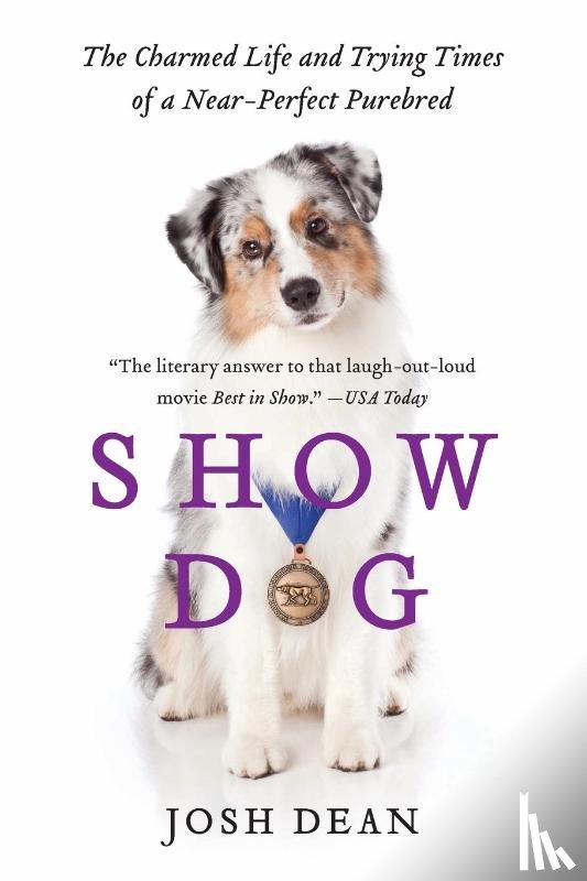 Dean, Josh - Show Dog