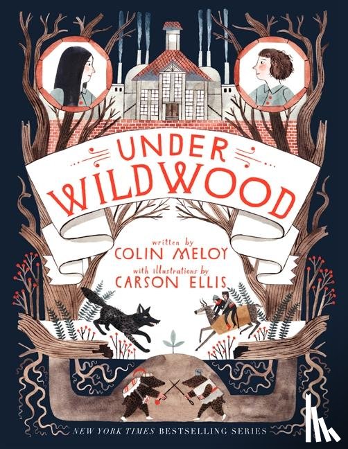 Meloy, Colin - Under Wildwood