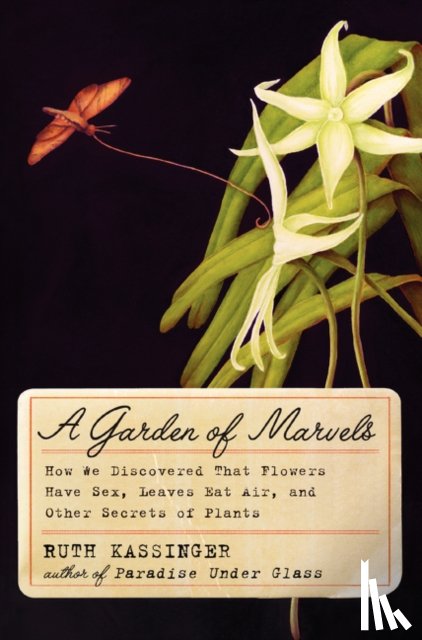 Kassinger, Ruth - A Garden of Marvels
