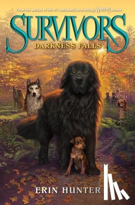 Hunter, Erin - Darkness Falls