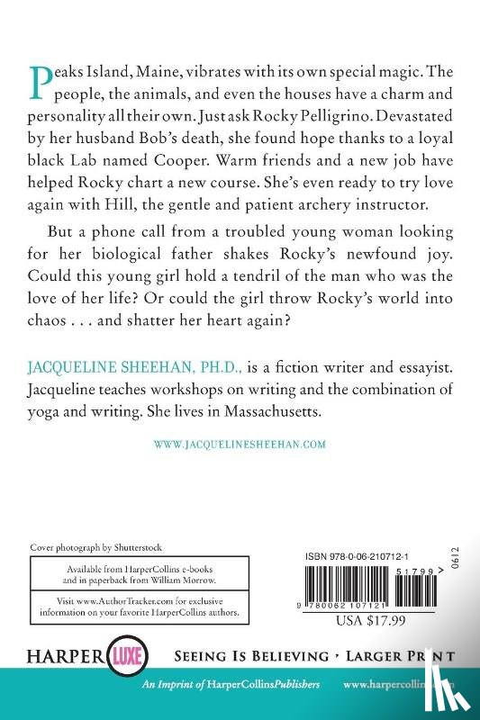 Sheehan, Jacqueline - Picture This