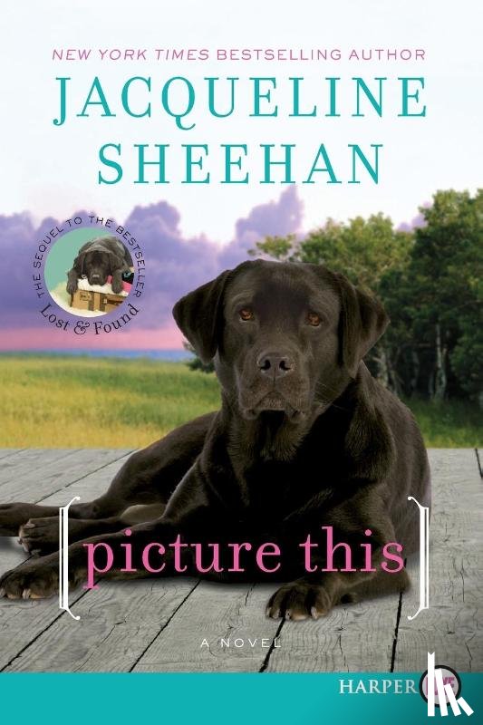 Sheehan, Jacqueline - Picture This