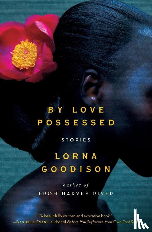 Goodison, Lorna - By Love Possessed