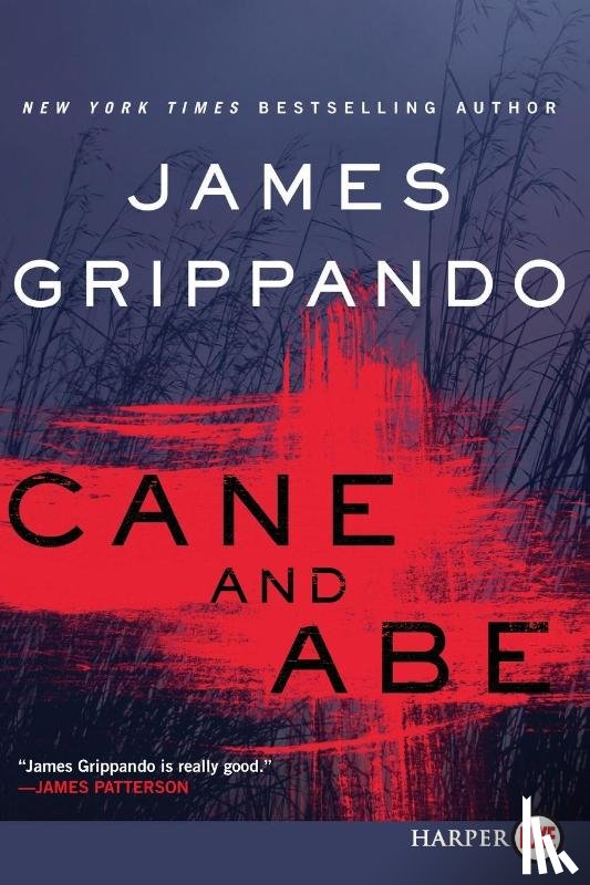 Grippando, James - Cane and Abe [Large Print]