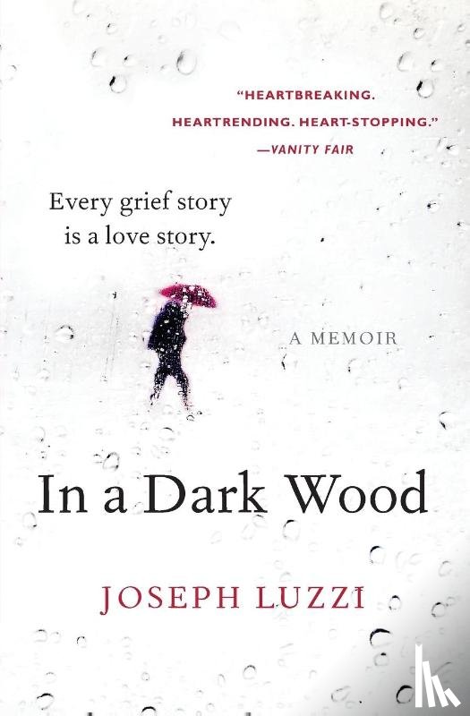 Luzzi, Joseph - In a Dark Wood