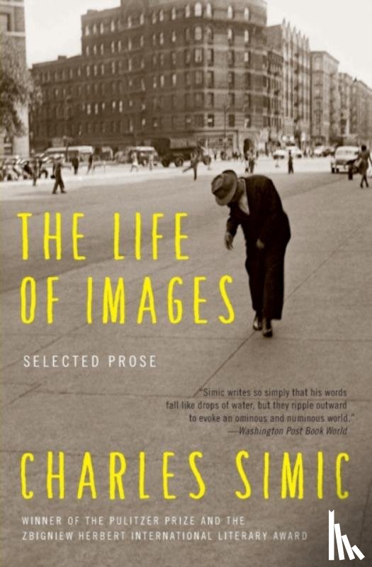Simic, Charles - The Life of Images