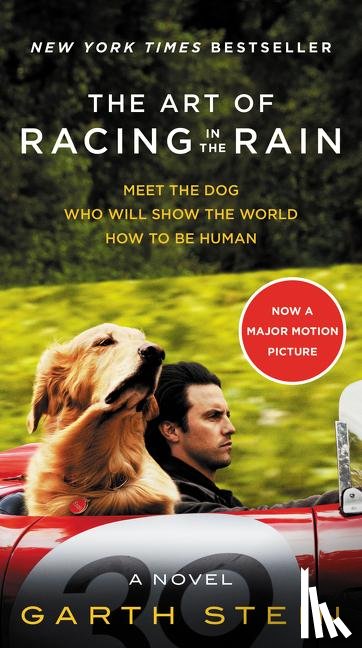Stein, Garth - The Art of Racing in the Rain Movie Tie-in Edition