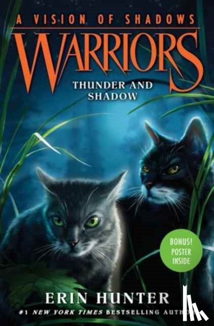Hunter, Erin - Warriors: A Vision of Shadows #2: Thunder and Shadow