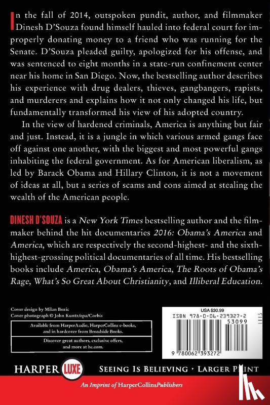 D'Souza, Dinesh - Stealing America LP