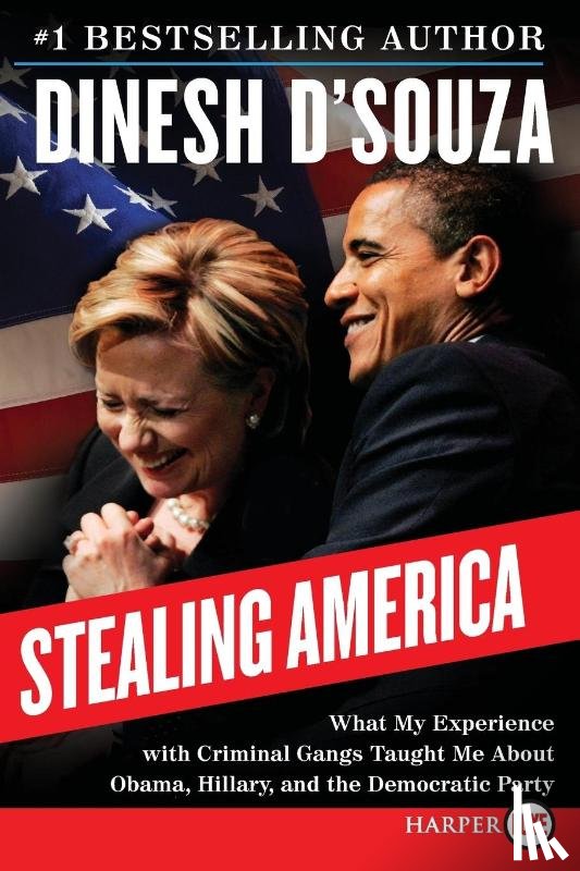 D'Souza, Dinesh - Stealing America LP