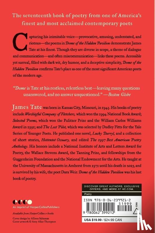 Tate, James - Dome of the Hidden Pavilion