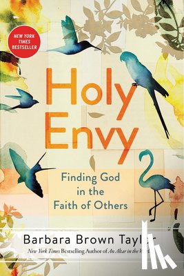 Taylor, Barbara Brown - Holy Envy