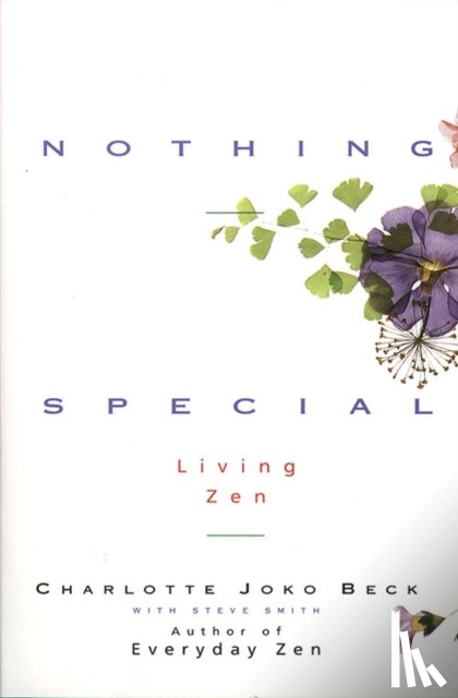 Beck, Charlotte Joko, Smith, Steve - Nothing Special