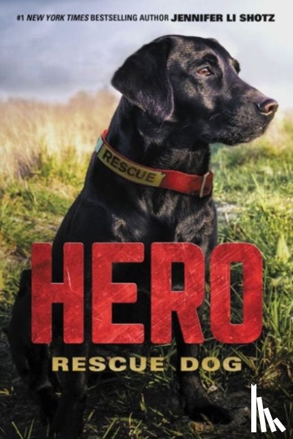 Shotz, Jennifer Li - Hero