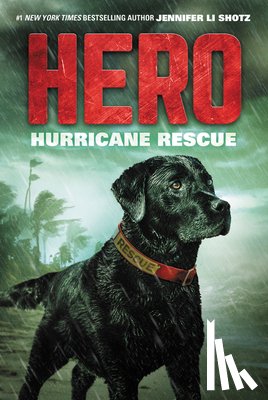 Shotz, Jennifer Li - Hero: Hurricane Rescue