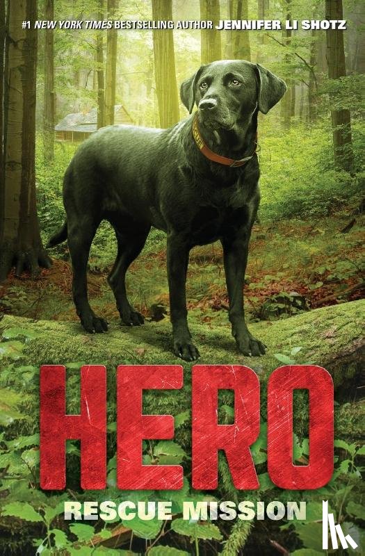 Shotz, Jennifer Li - Hero: Rescue Mission