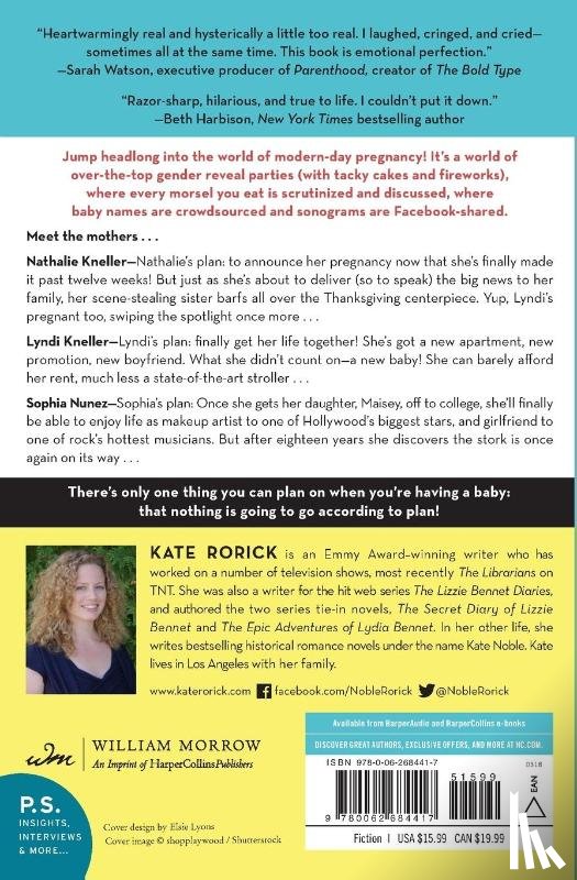 Rorick, Kate - The Baby Plan