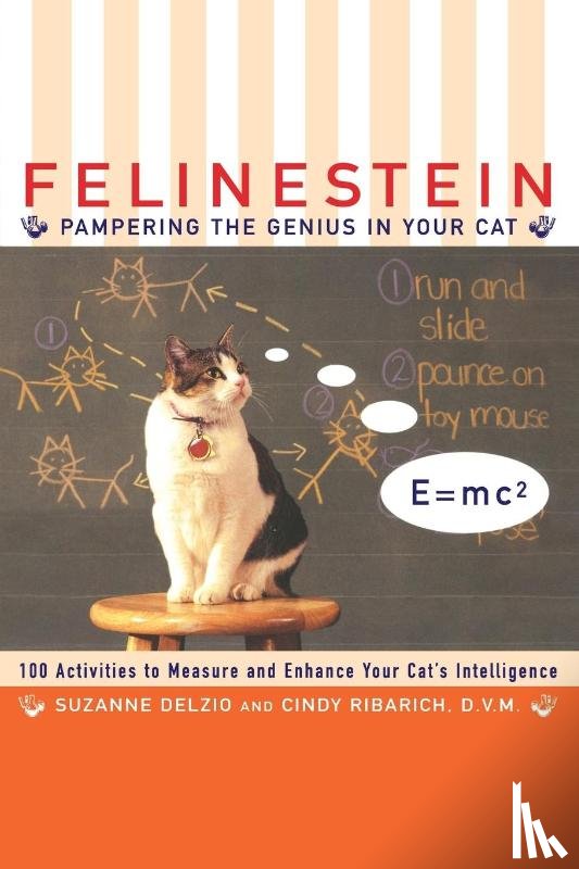 Ribarich, C. - Felinestein