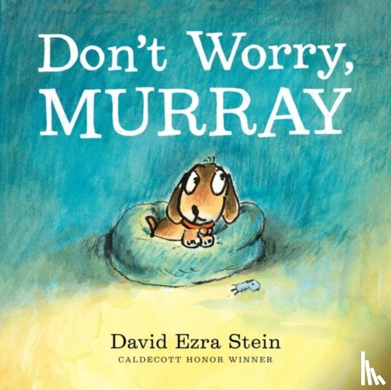 Stein, David Ezra - Don't Worry, Murray