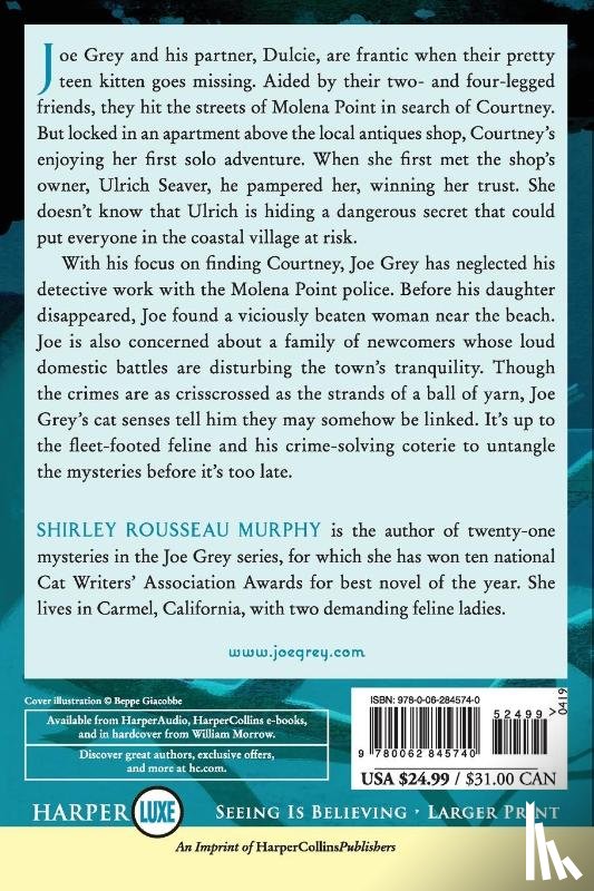 Murphy, Shirley Rousseau - Cat Chase The Moon [Large Print]