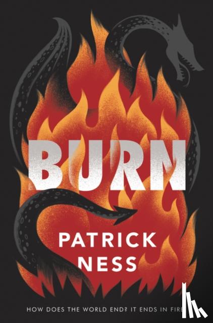 Ness, Patrick - Burn