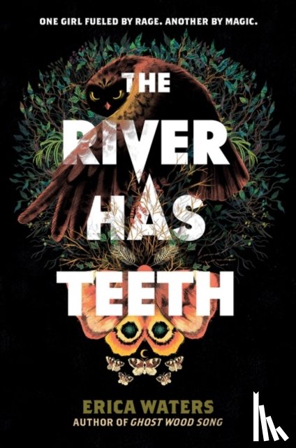 Waters, Erica - The River Has Teeth