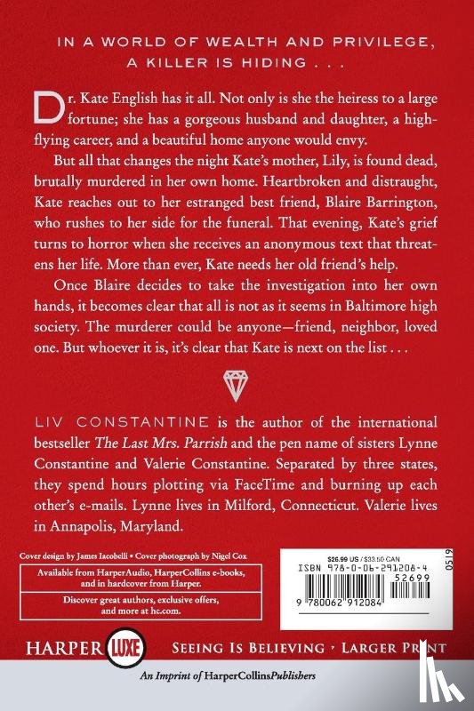 Constantine, Liv - The Last Time I Saw You [Large Print]